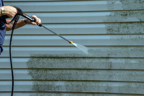 Best Graffiti Removal  in Spurgeon, TN